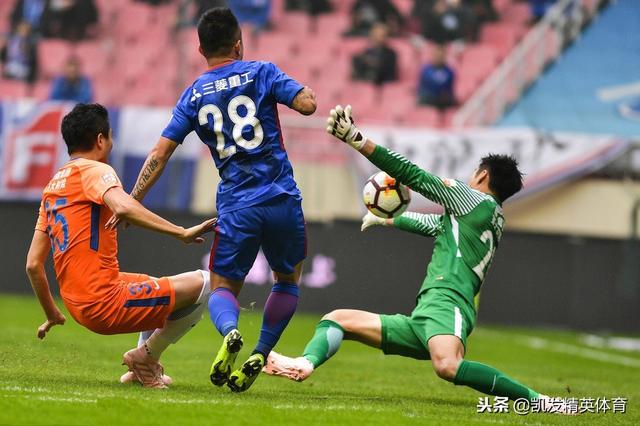 浙江队放眼全胜，雄心勃勃争夺冠军的简单介绍