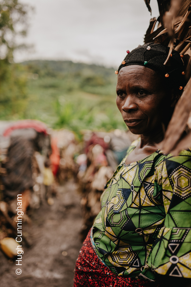 包含刚果民主共和国队主场表现抢眼的词条
