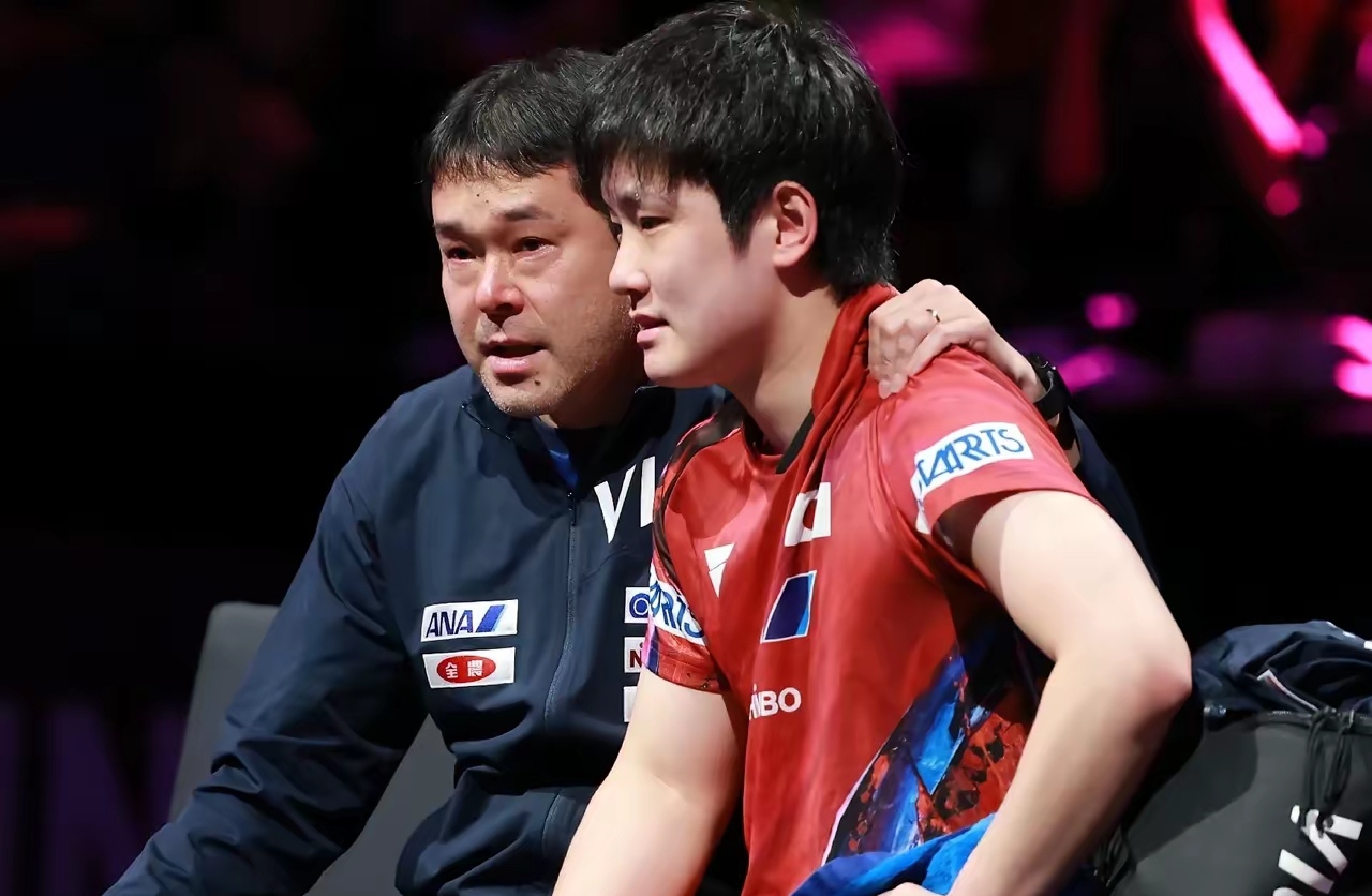 日本乒乓球队碾压波兰乒乓球队，张本智和制霸全场的简单介绍