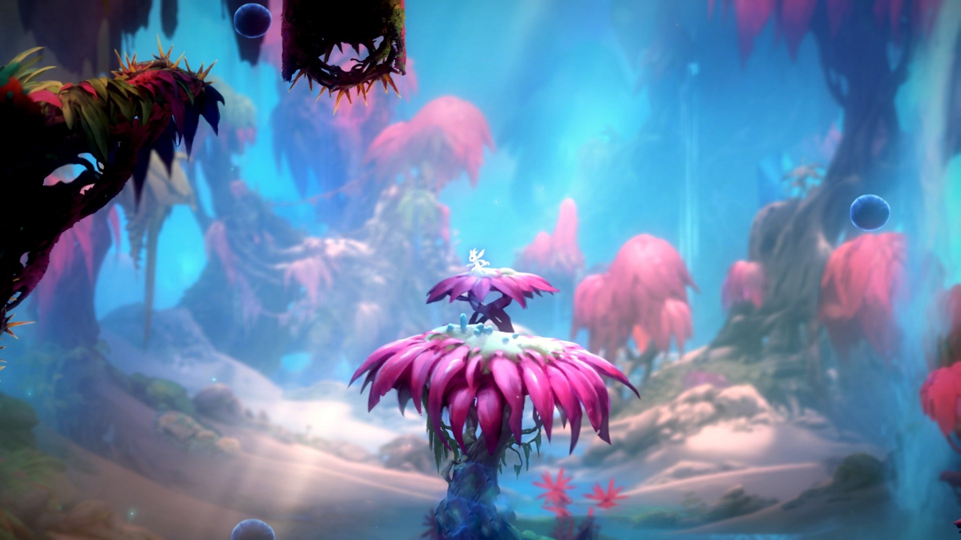 福克斯实力证明自我，猛龙争冠战力克深圳队