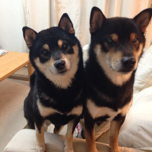 赛道与球场，当红牛单圈统治遇见爵士团队方程式—现代竞技的胜负新哲学