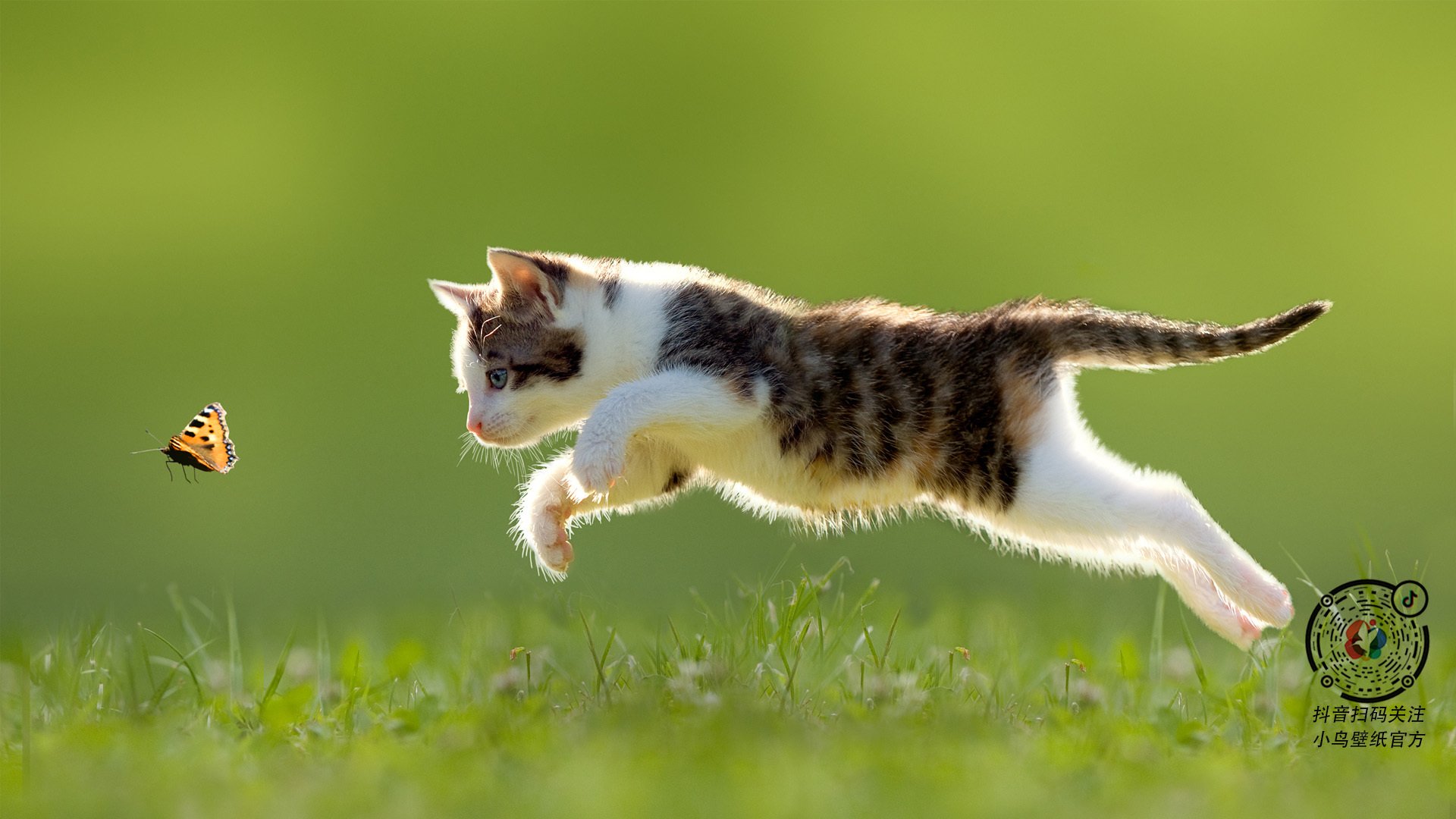 篮球无疆界，当欧文让京城防线变迷宫