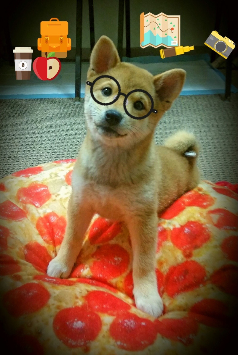 寒光乍现,东决关键战之夜,伊萨克利刃出鞘无人可挡