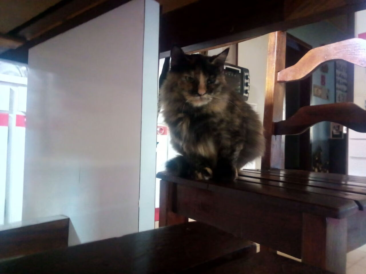 德里赫特压制级发挥难挽败局,厄瓜多尔锋线群星击溃尤文图斯