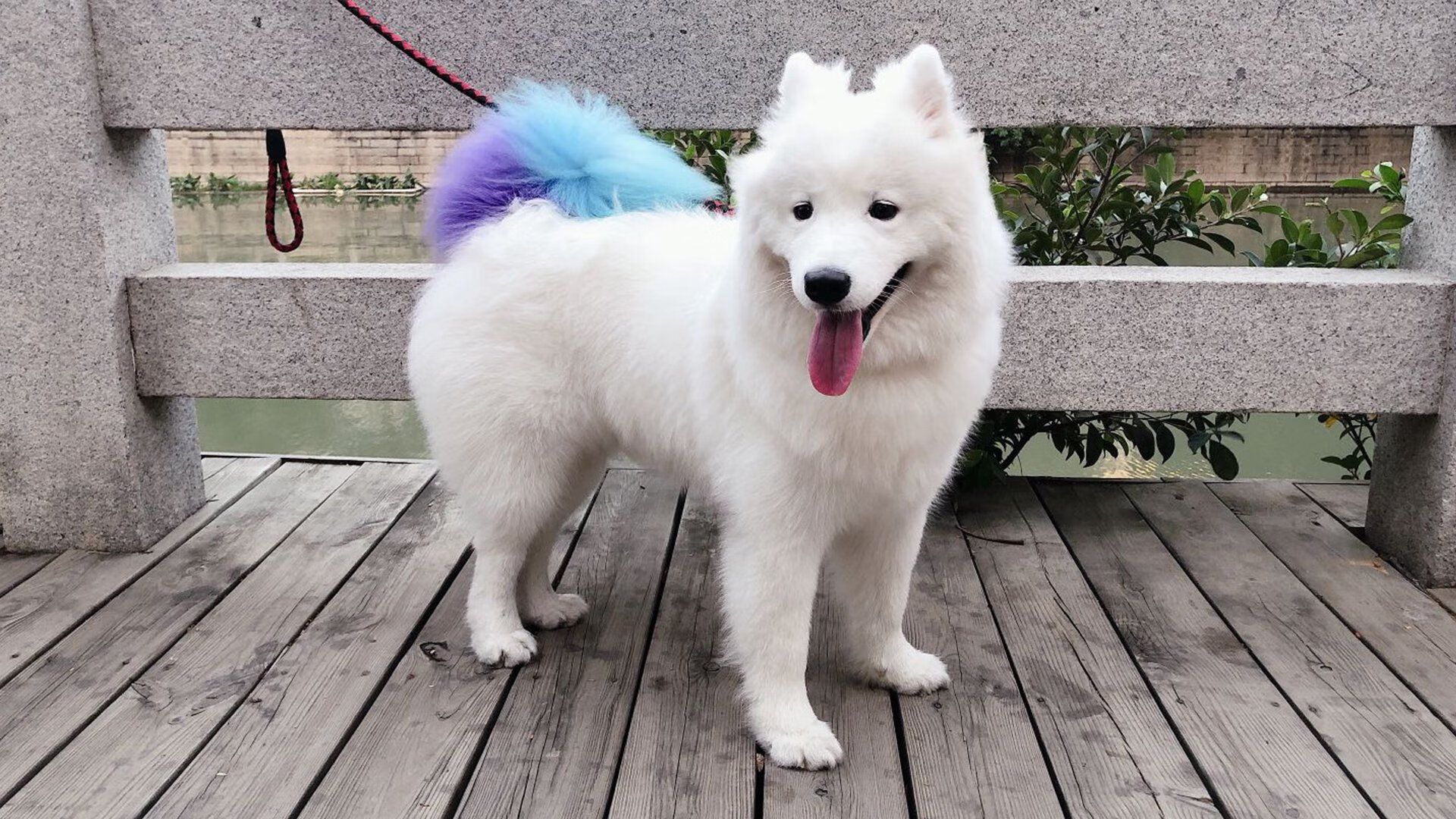 南美铁骑绝境逢生！乌拉圭补时压哨一击，荡气回肠抢七战掀翻贝蒂斯