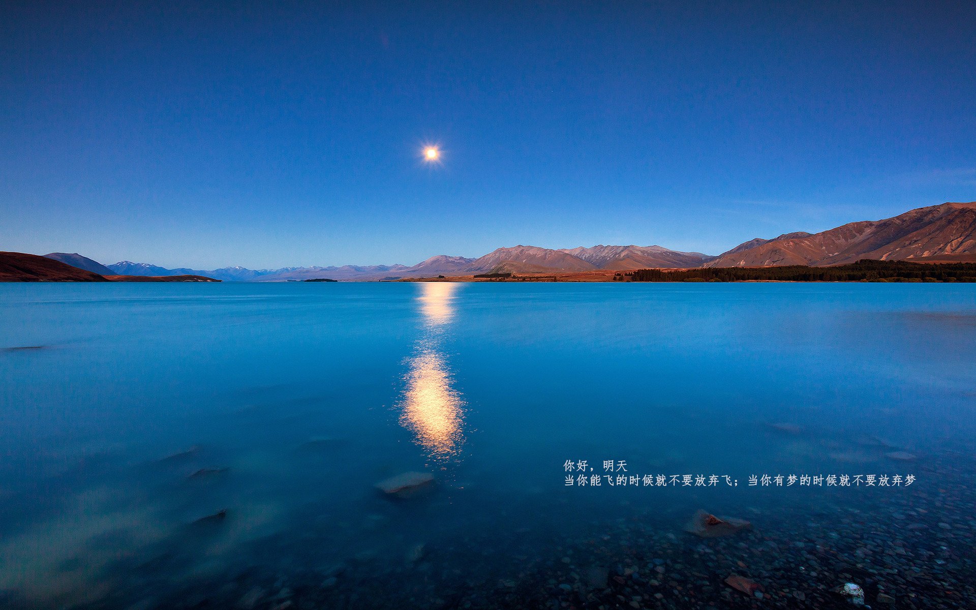 破译紫色密码，佛罗伦萨轻取那不勒斯的战术诗篇