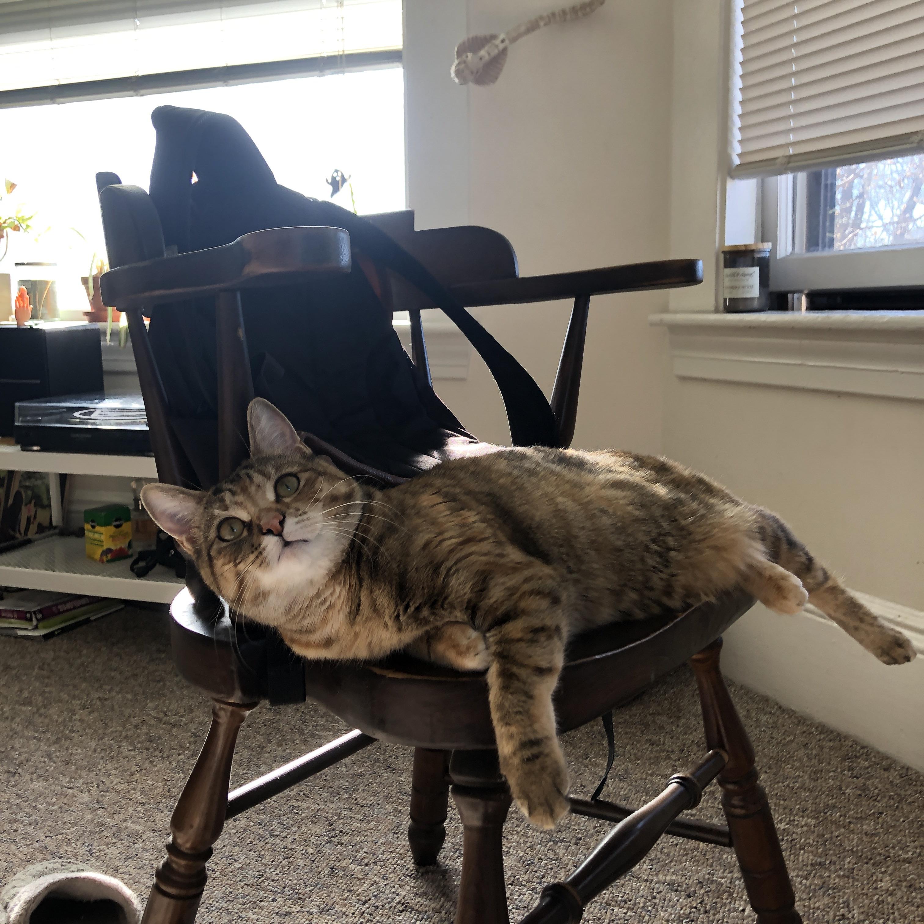 篮球风云,上海队险胜老鹰,浓眉抢七演绎王者接管