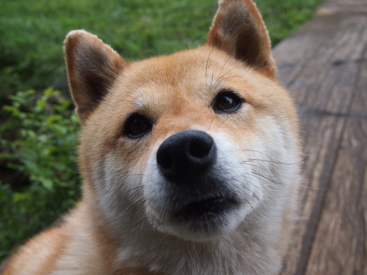 爱德华兹献40分狂暴表演！活塞战车碾过吉林，团队篮球与巨星光芒如何共舞？