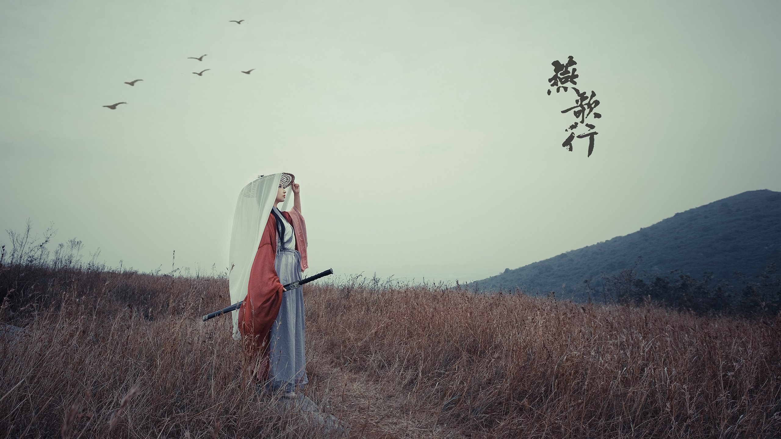 钢铁之躯与烈焰之魂，厄瓜多尔如何以秩序强行终结摩洛哥的拉亚式爆发