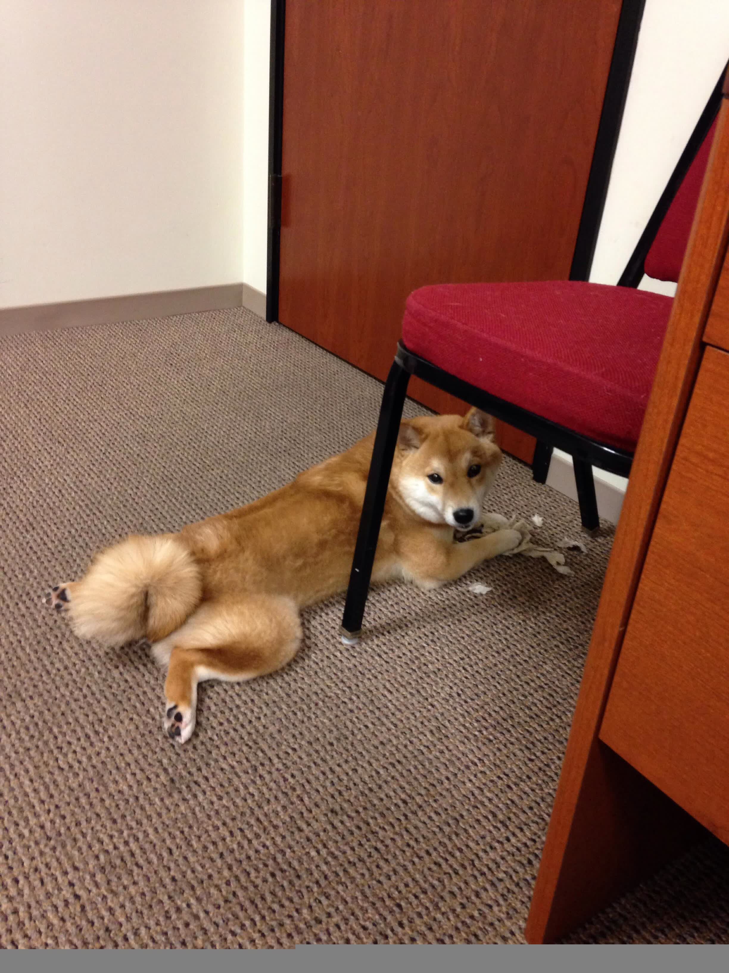喀麦隆雄狮怒吼未果,拉什福德一剑封喉—2026世界杯H组焦点战西班牙2-1险胜