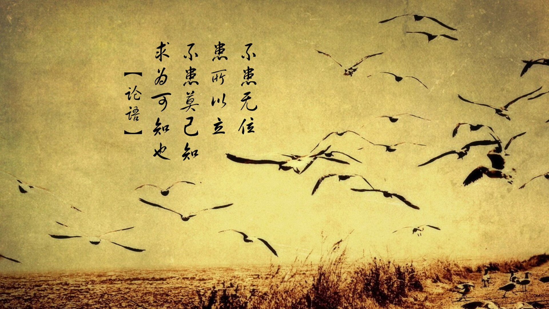 致命一击背后的智慧,匈牙利如何用防守反击在2026世界杯C组掀翻日本