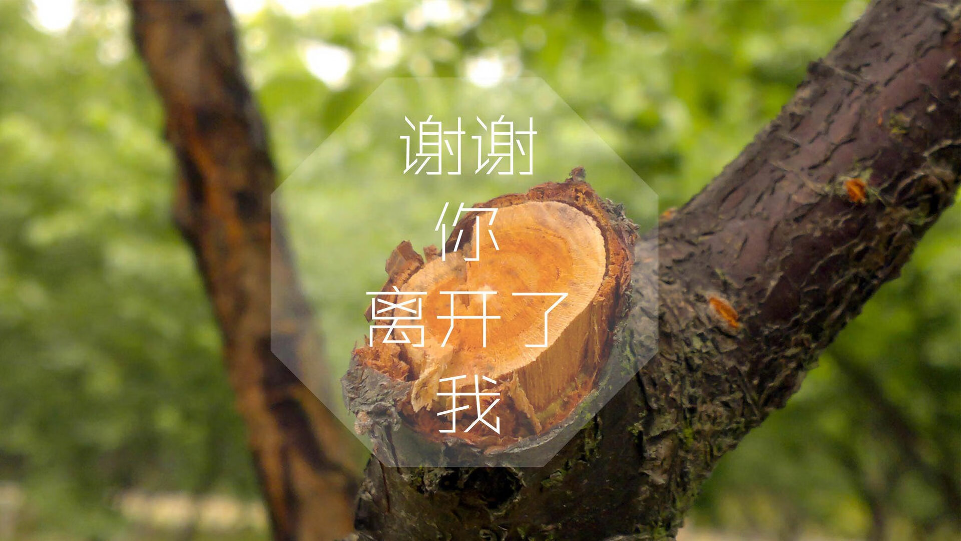 冰锋对决,2026世界杯黑马之战,芬兰对阵匈牙利,维尼修斯中场定乾坤